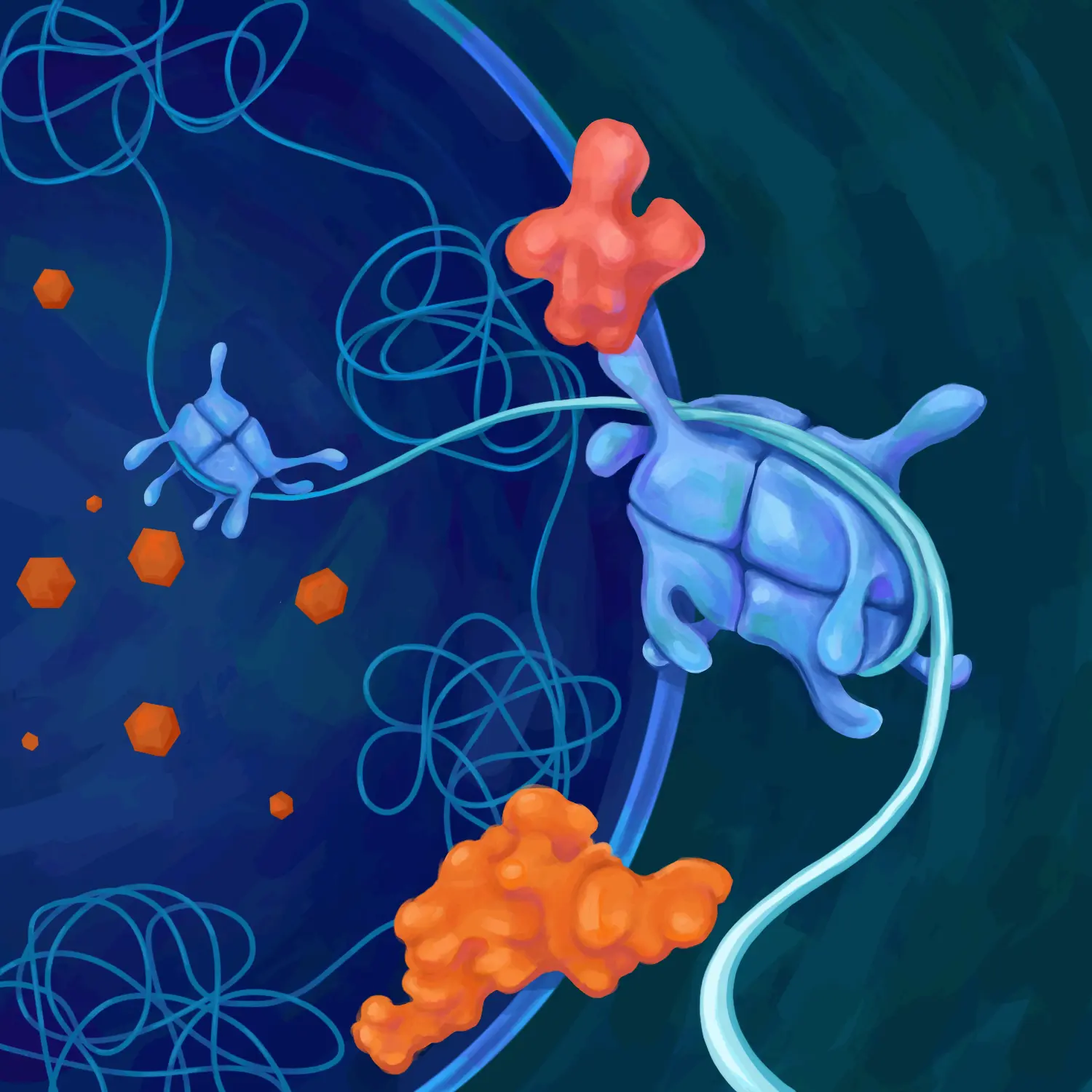 Adenovirus and protein VII